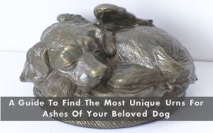 A Guide To Find The Most Unique Urns For Ashes Of Your Beloved Dog