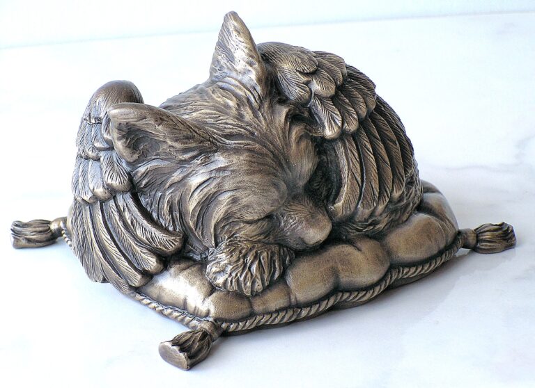 unique cat urns