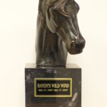 Urns for Horse Ashes